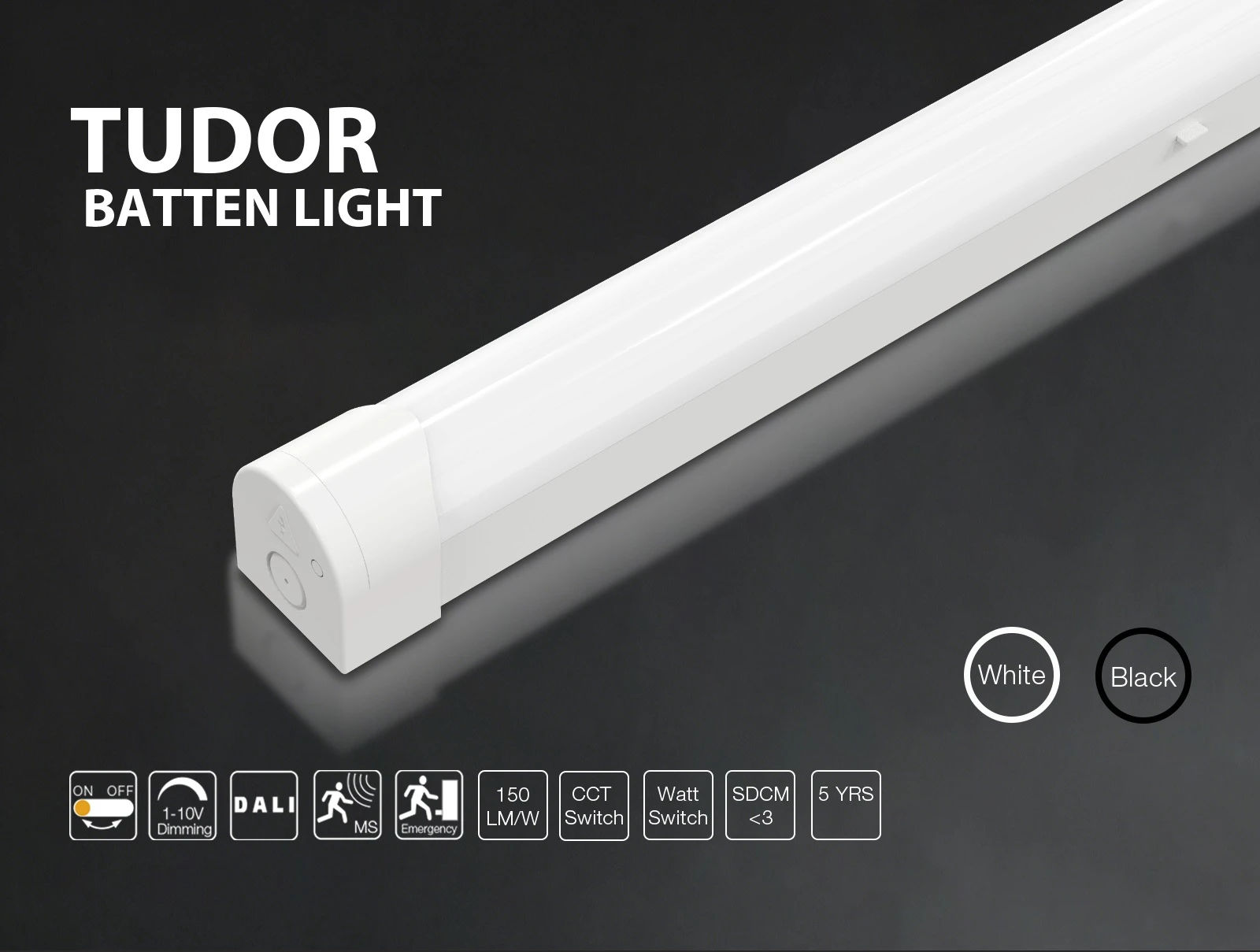 Tudor 01 Tudor 01