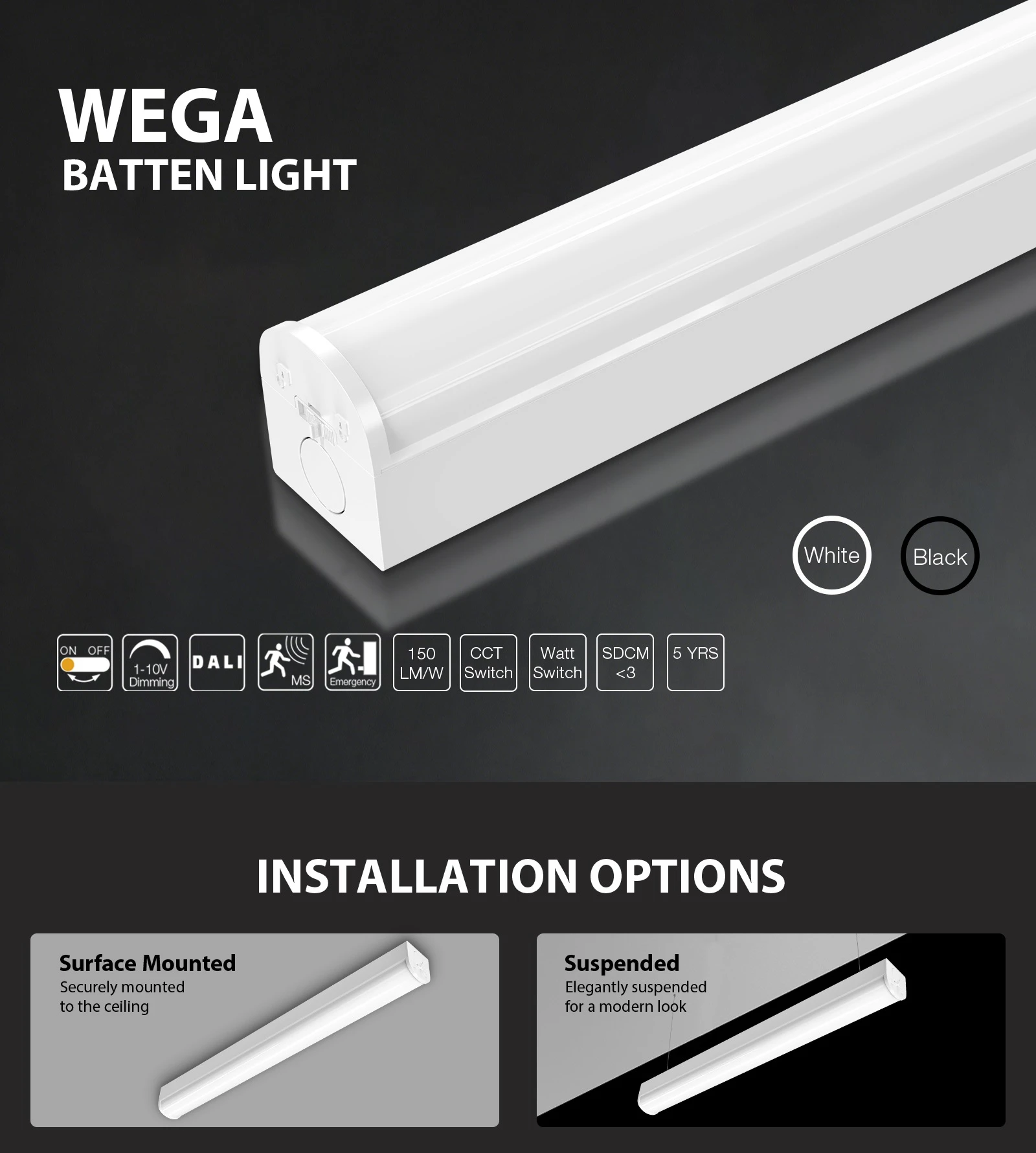 Wega 01 Wega 01